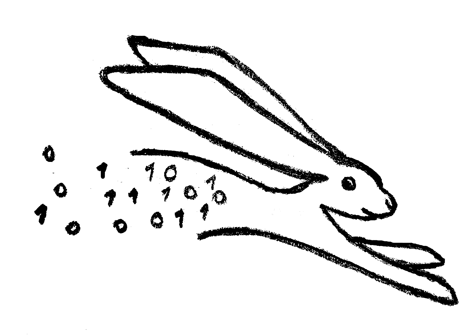 Fast Rabbit